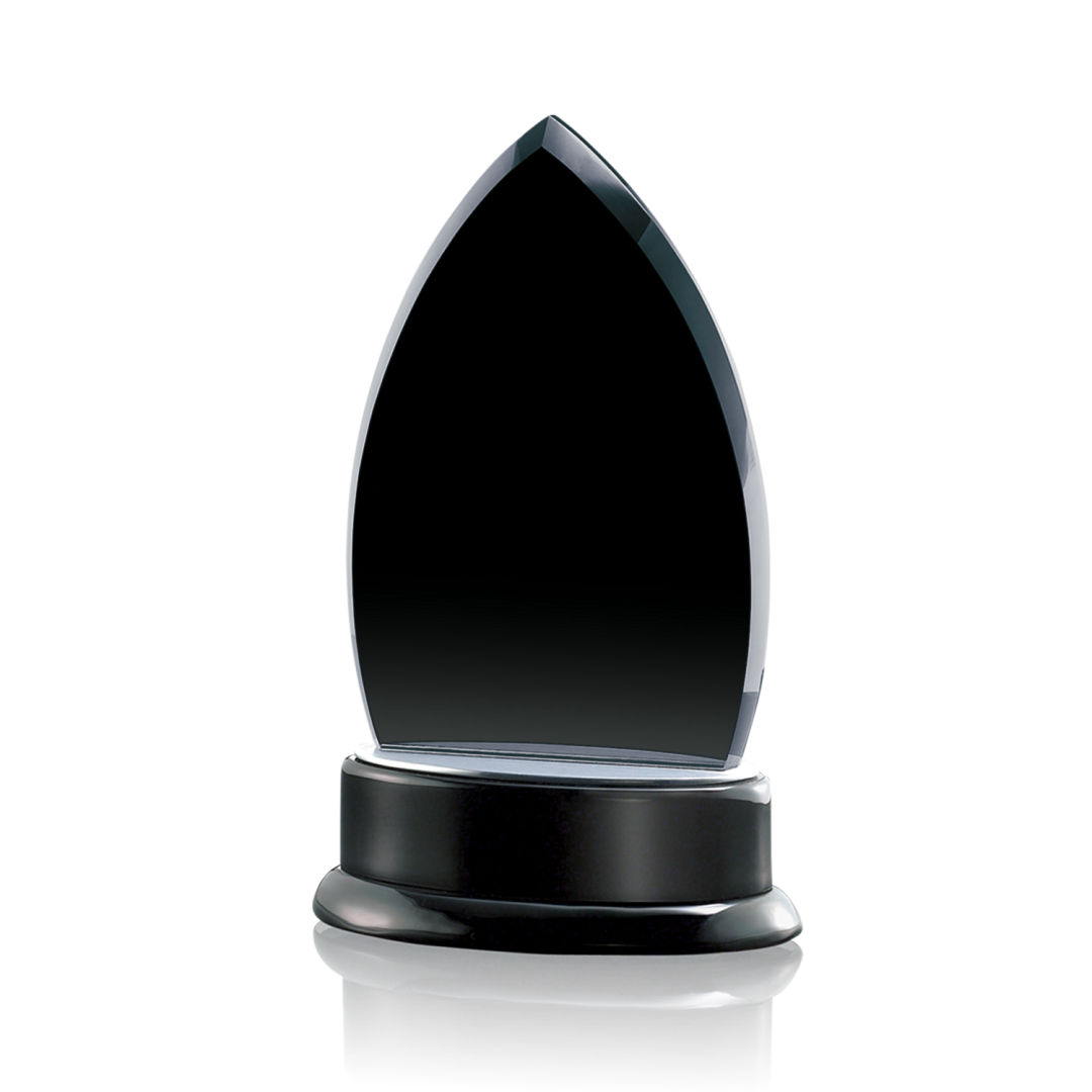 Thompson Award 5