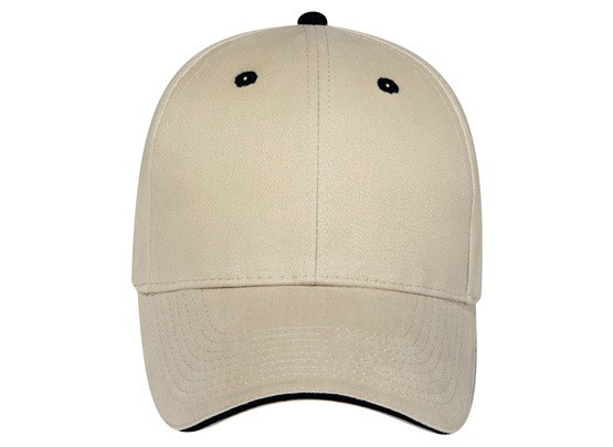 OTTO CAP 6 Panel Low Profile Baseball Cap 6