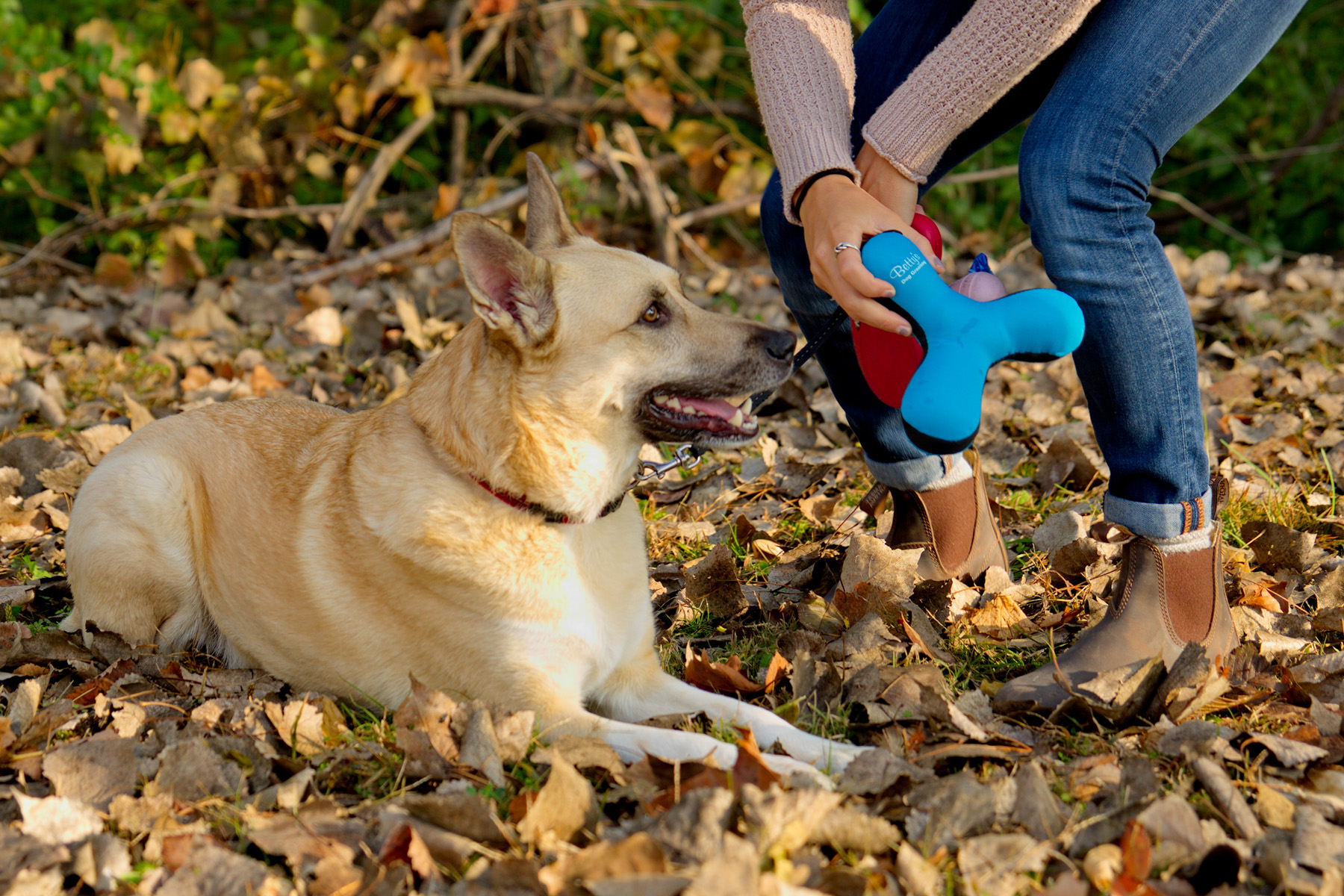 Toss-N-Float Dog Toy 4