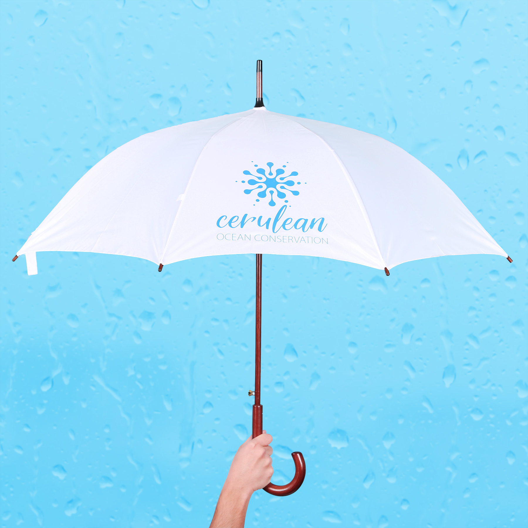 EXECUTIVE UMBRELLA: 48" Arc with Hook Handle 4