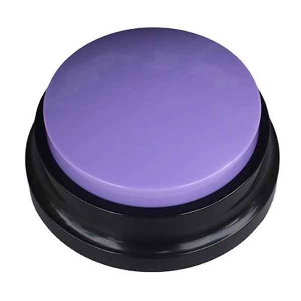 Easy Talking Button 3