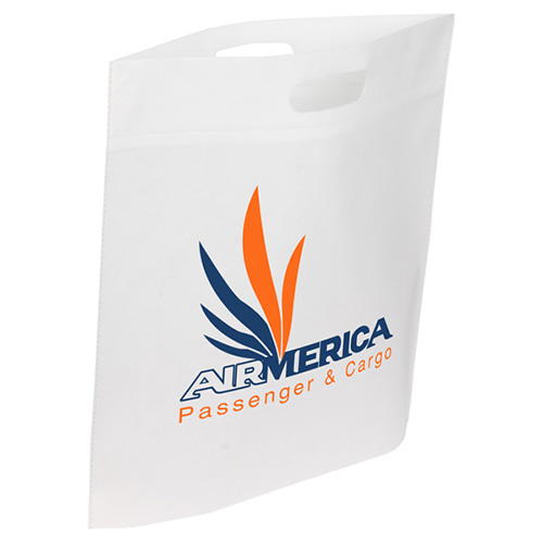 Echo Large Non-Woven Tote 30