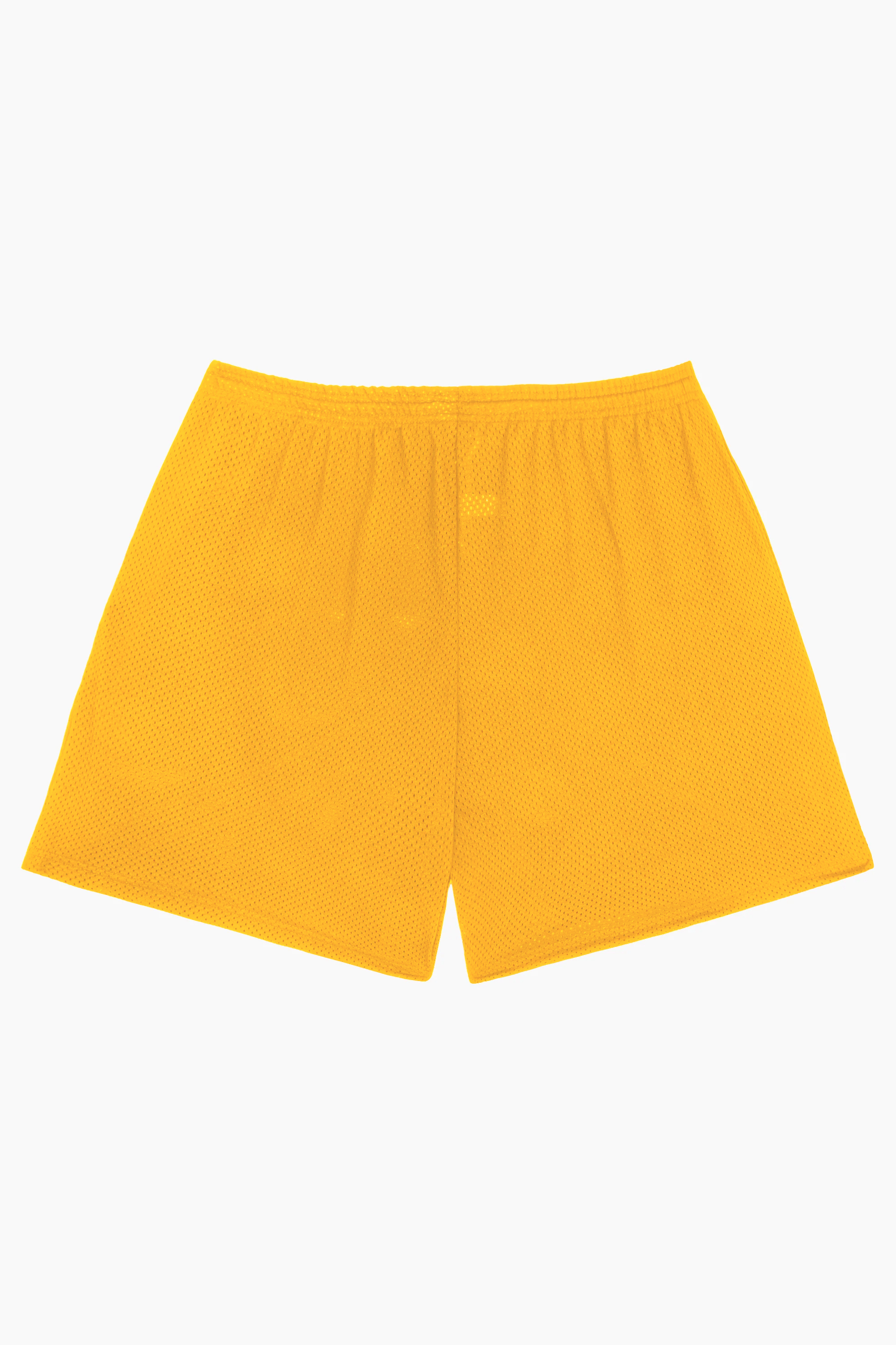 PRO MESH MID-LENGTH SHORTS 43