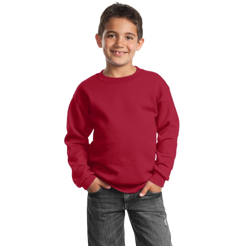 Port & Company Youth Core Fleece Crewneck Sweatshirt. 13