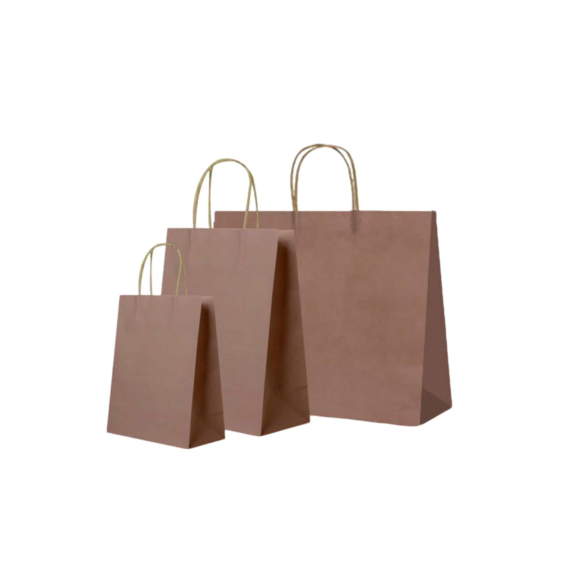 White Kraft Paper Shopper With Twisted Handle 8.3 X 4.4 X 10.7" 2