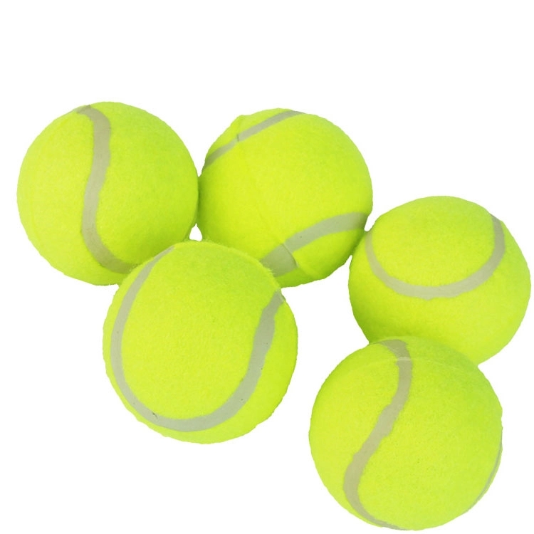 Pet Training Tennis 3