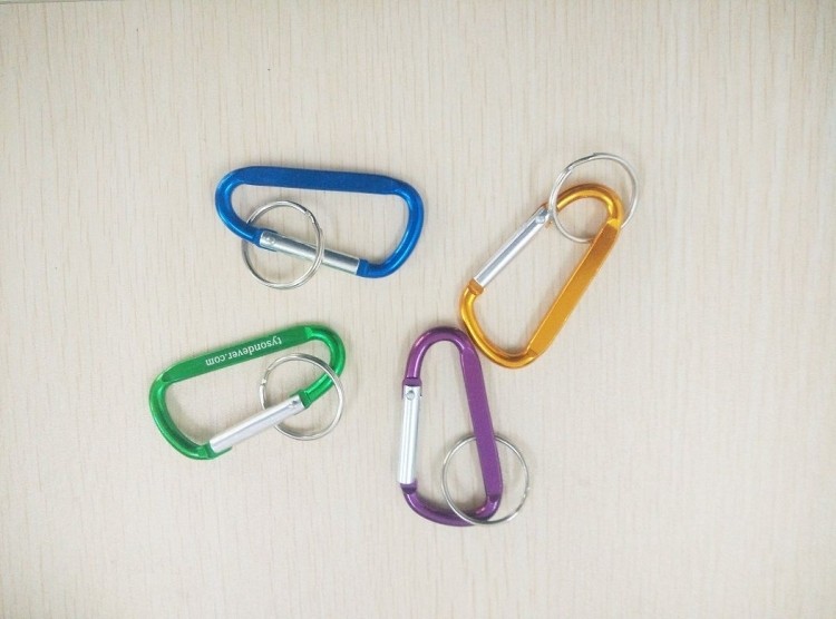 Carabiner Key Chain 2