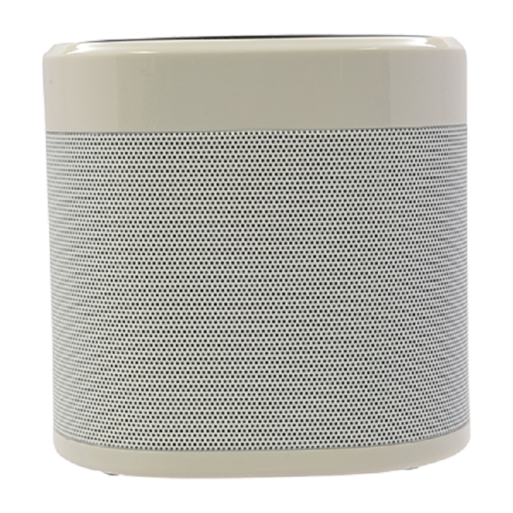 EchoPower RockStar Desktop Bluetooth 5.0 Speaker – FM Radio, Wireless Charger & 2200mAh Power 9