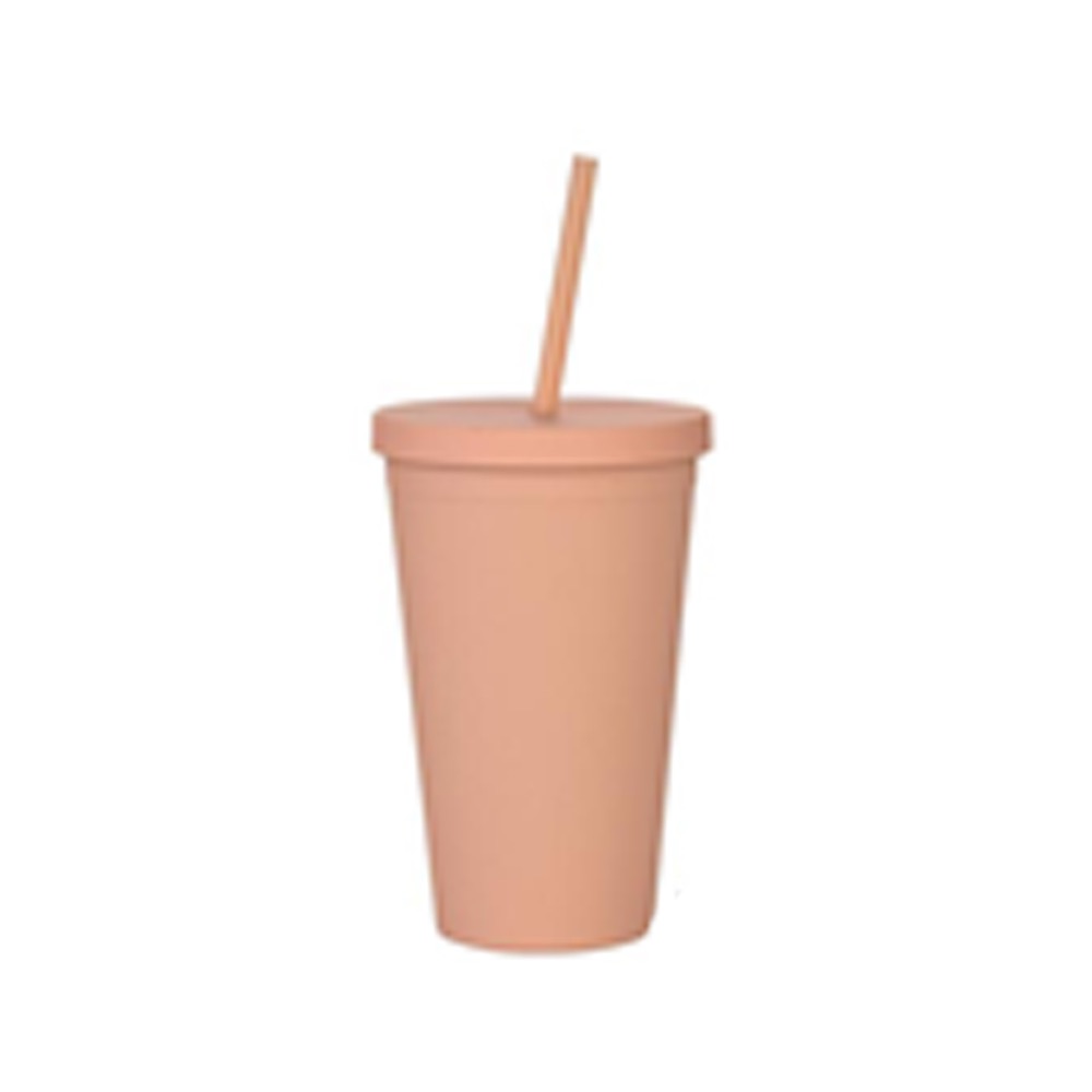 Double-Layer Plastic Straw Cup 8