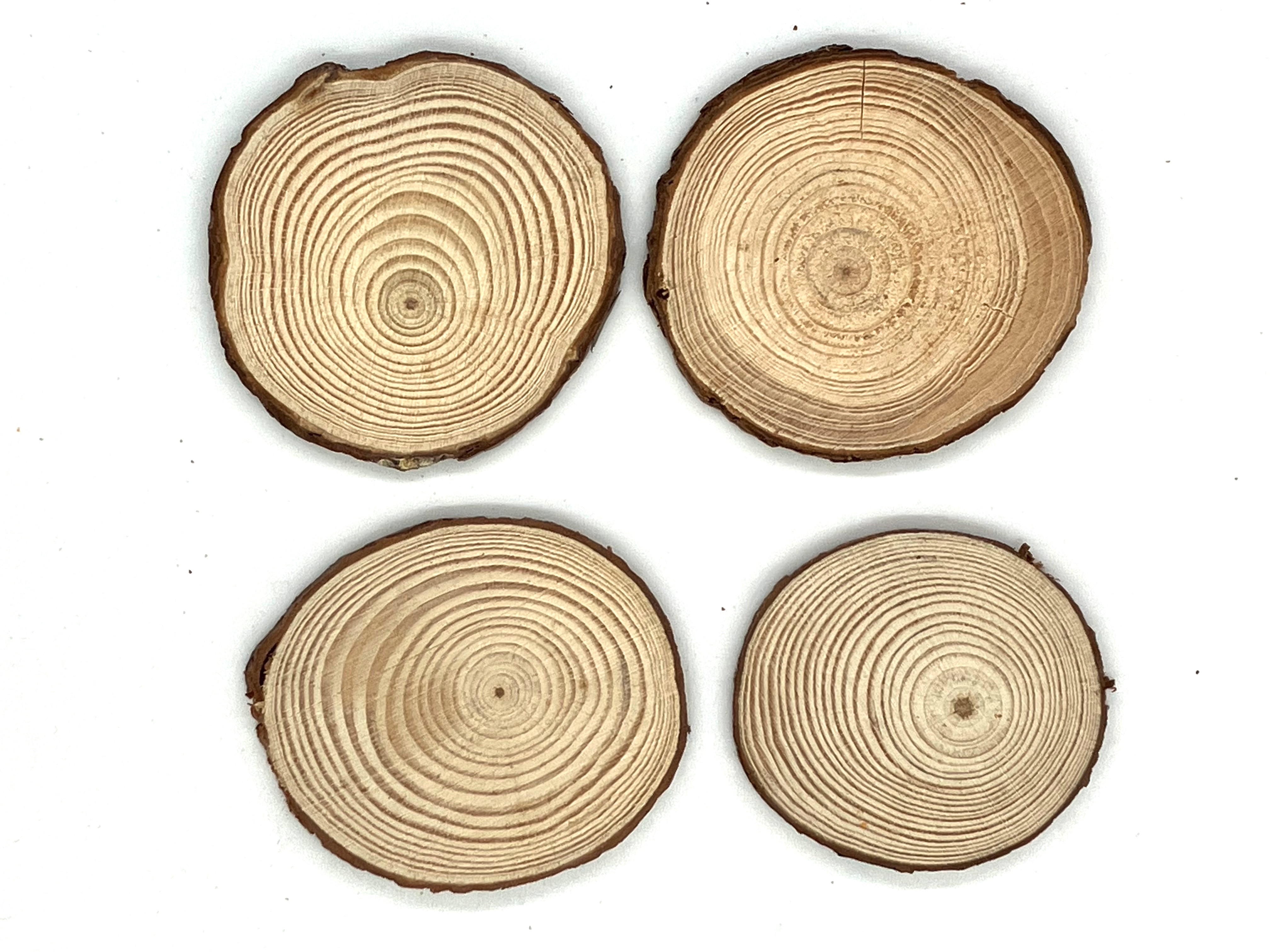 Wood Slice Token with Bark 9