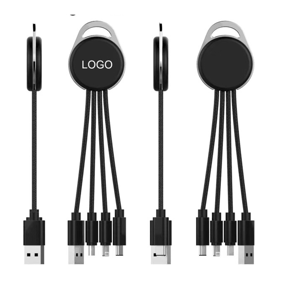 4-in-1 Logo Lighting Charging Cable 2