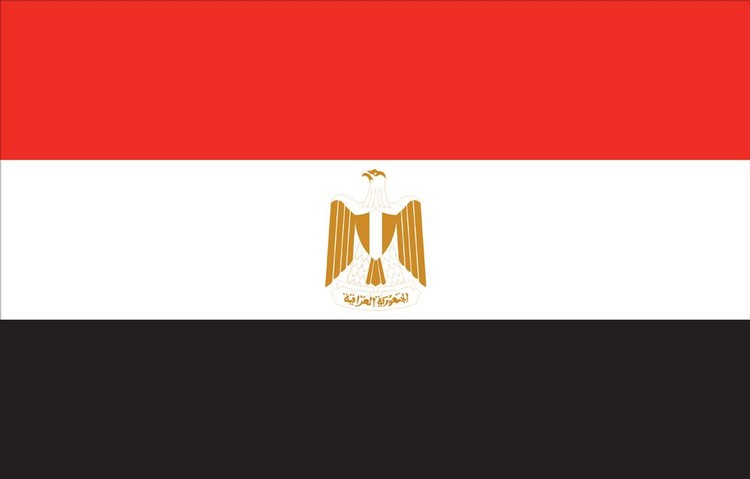 Egypt Flag - 2' x 3' - Nylon 2