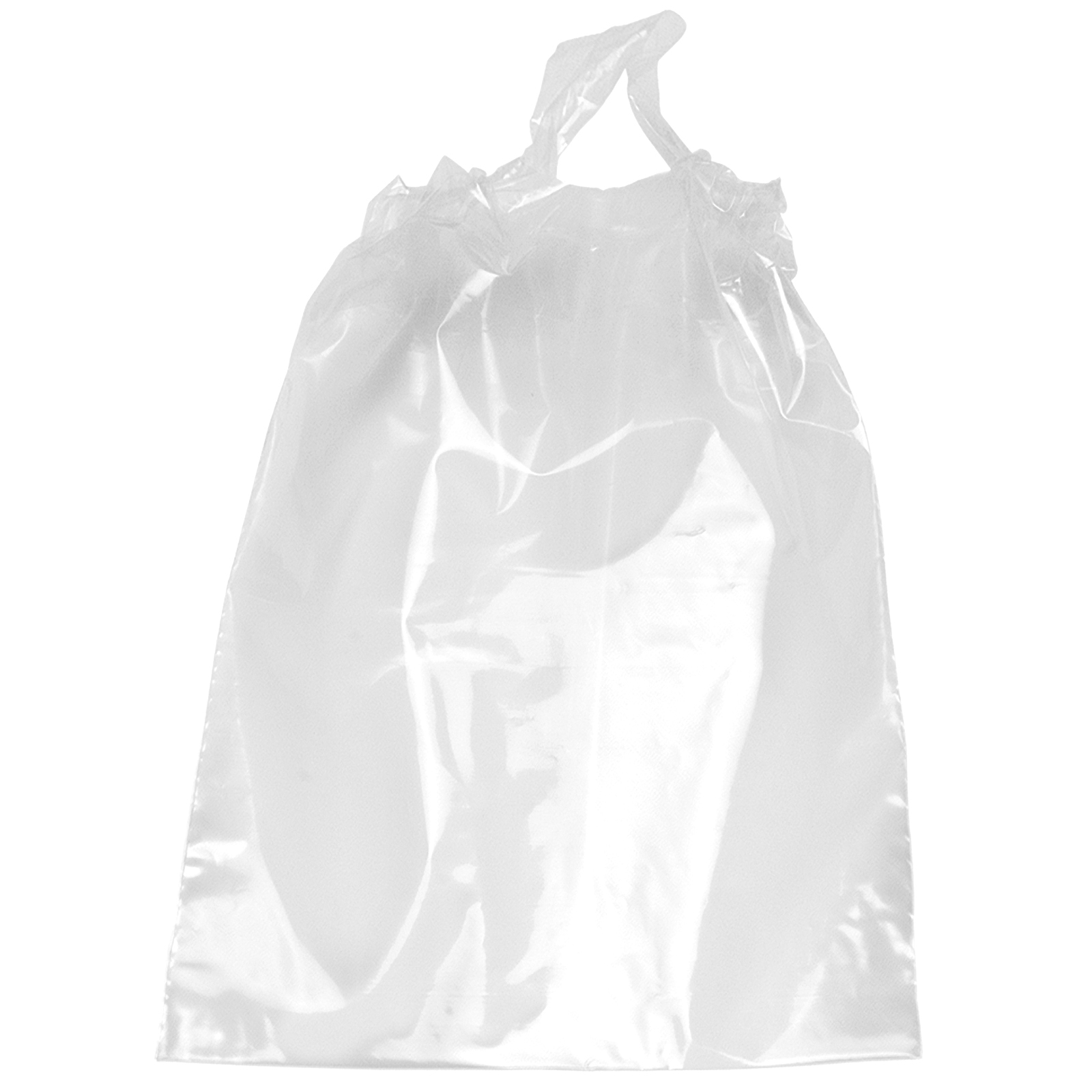 Poly-Draw Bag - 12W x 15H x 3 - Flexo Ink Print 2