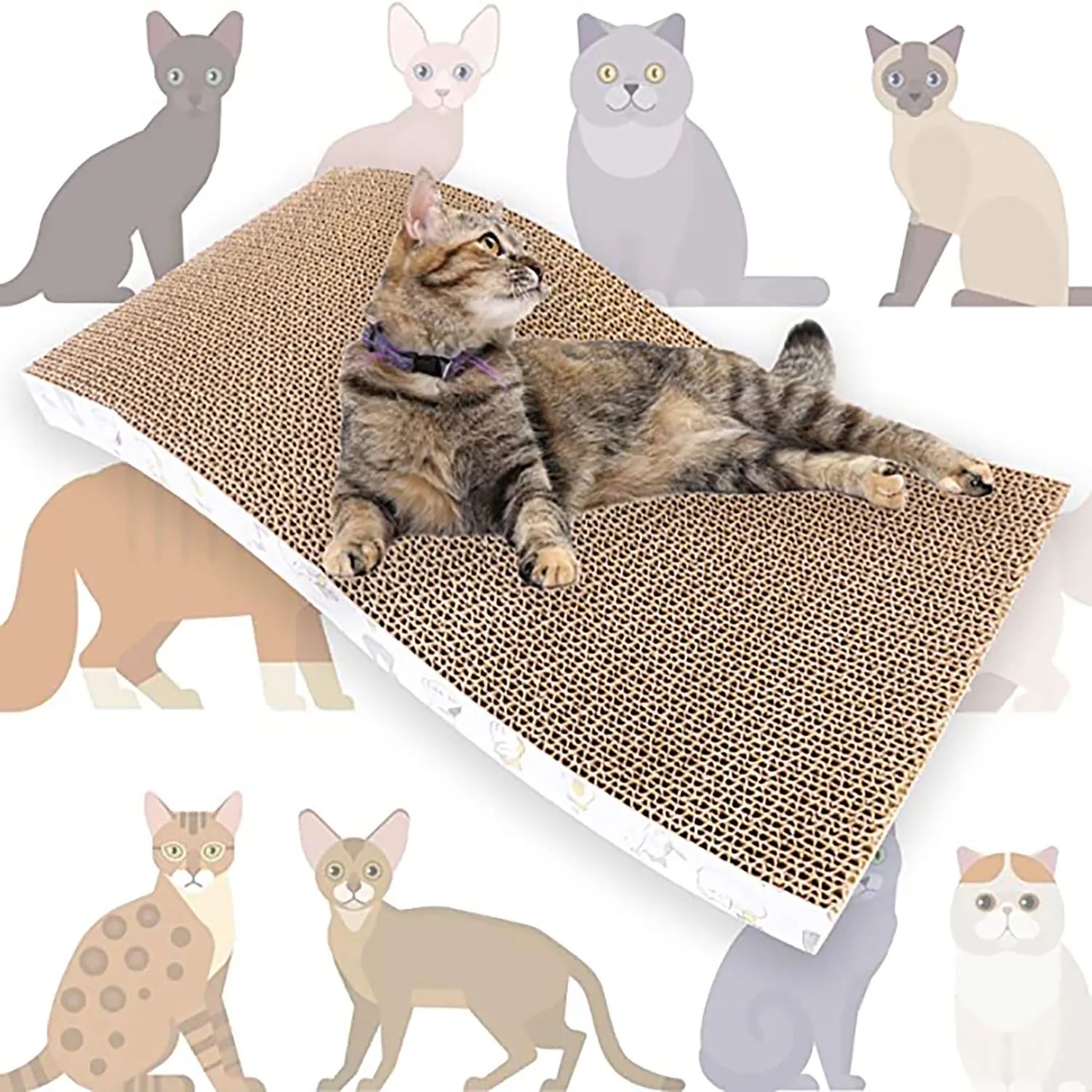 Cat Scratch Pad 9