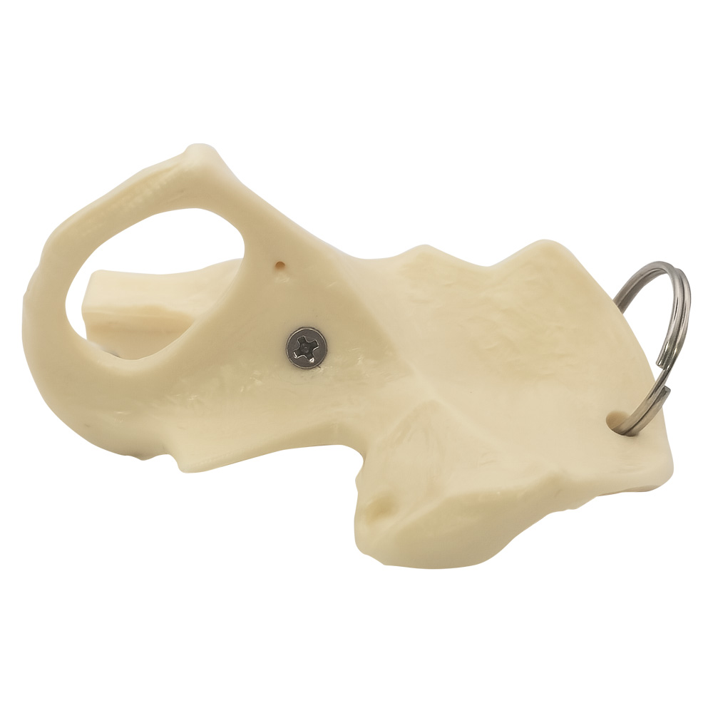 Hip Bone Keyring 1