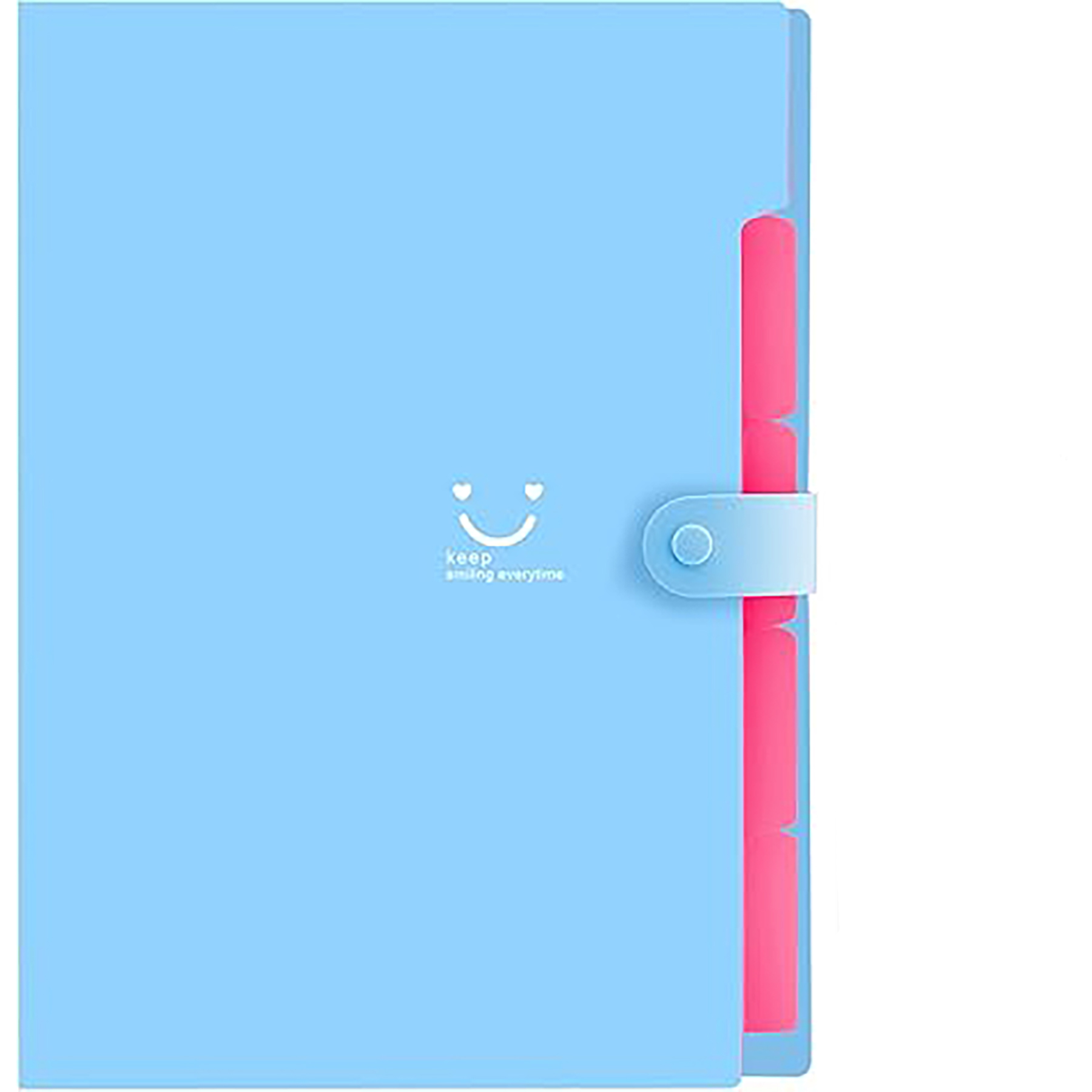 File Organizer with Labels 4