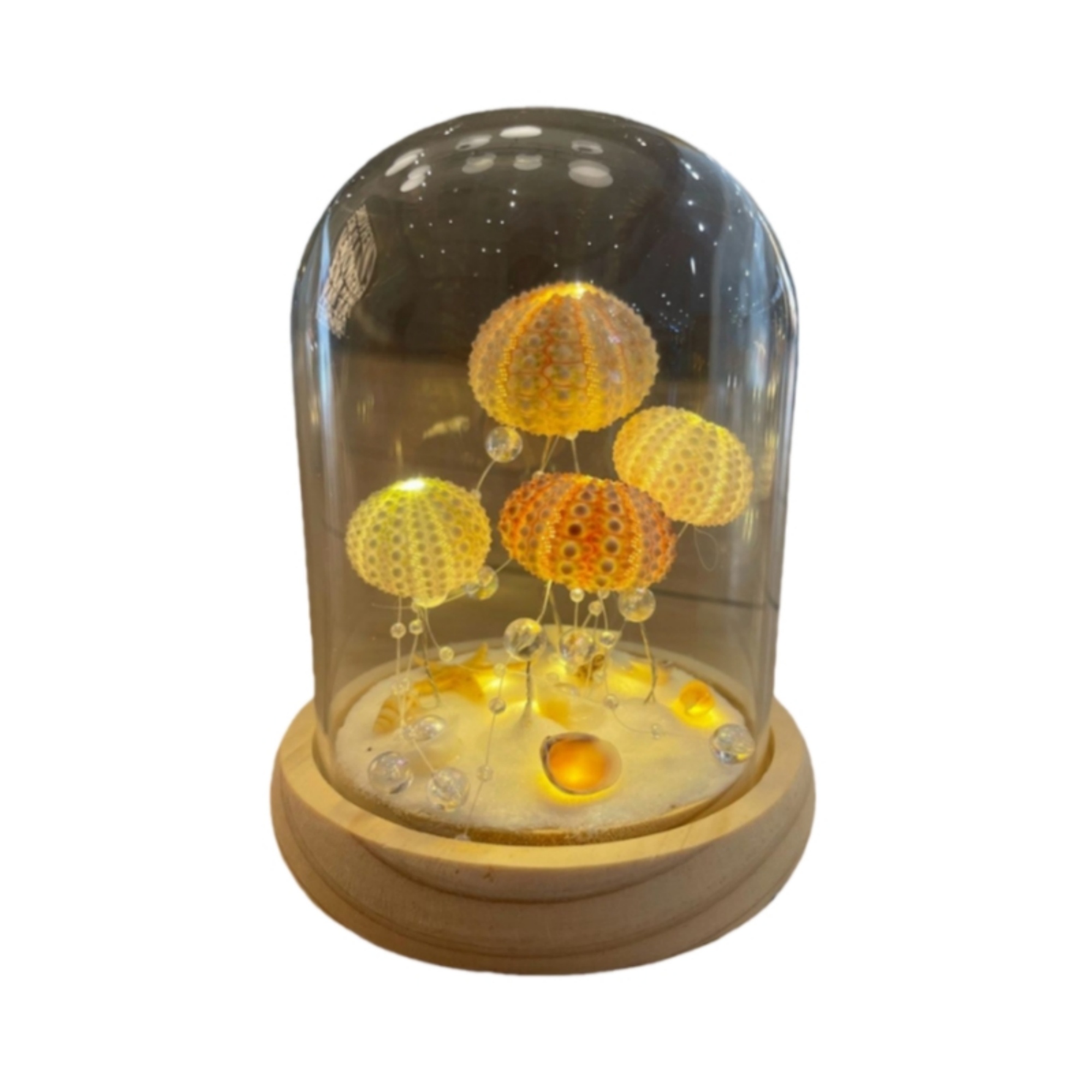 Illuminated Seashell Ornament Ambient 6
