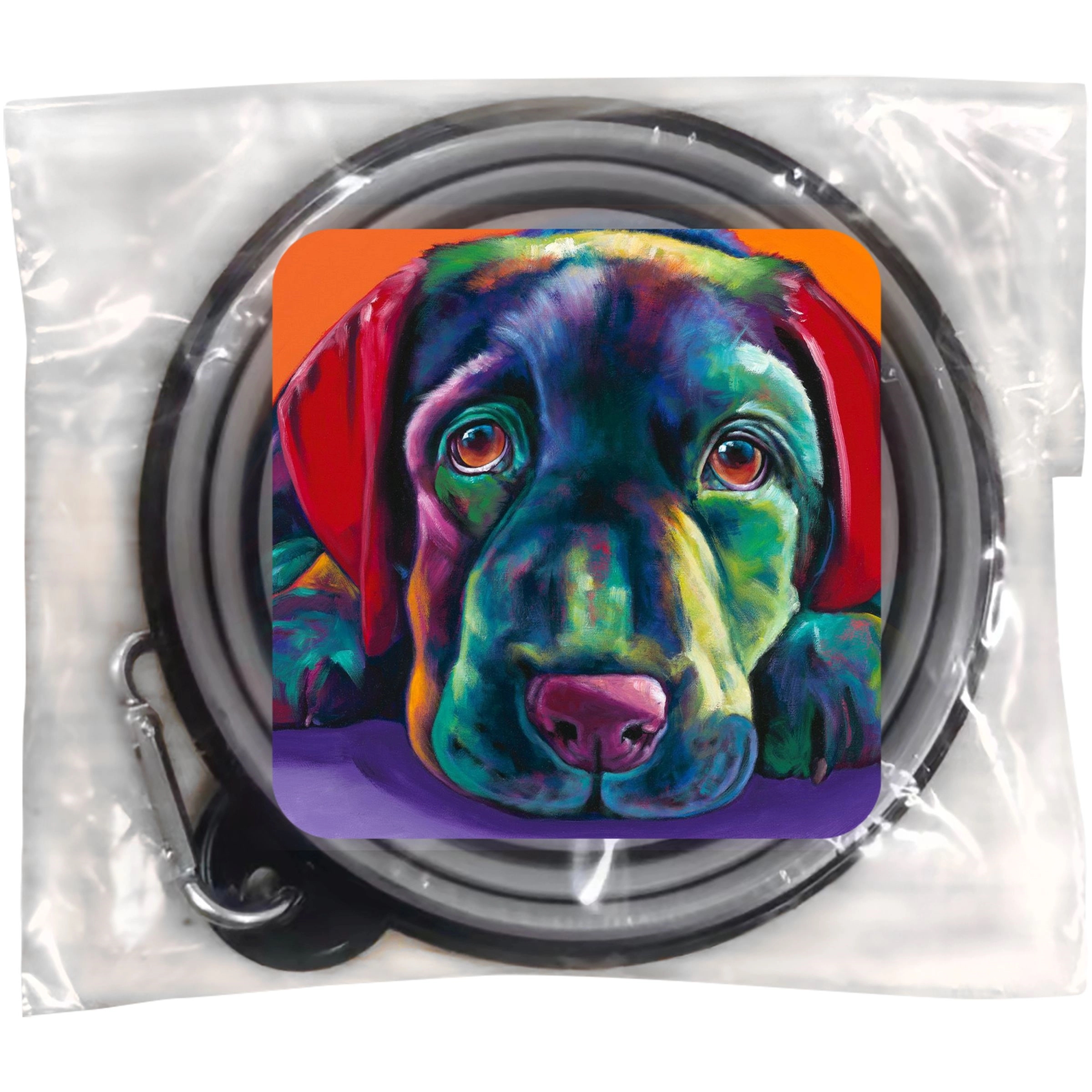 Pet Bowl 7