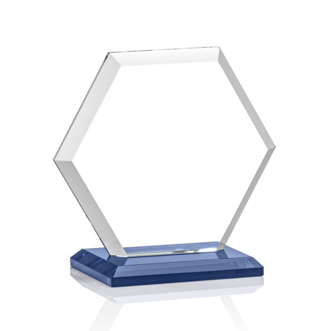 Barnett Award - Blue 2