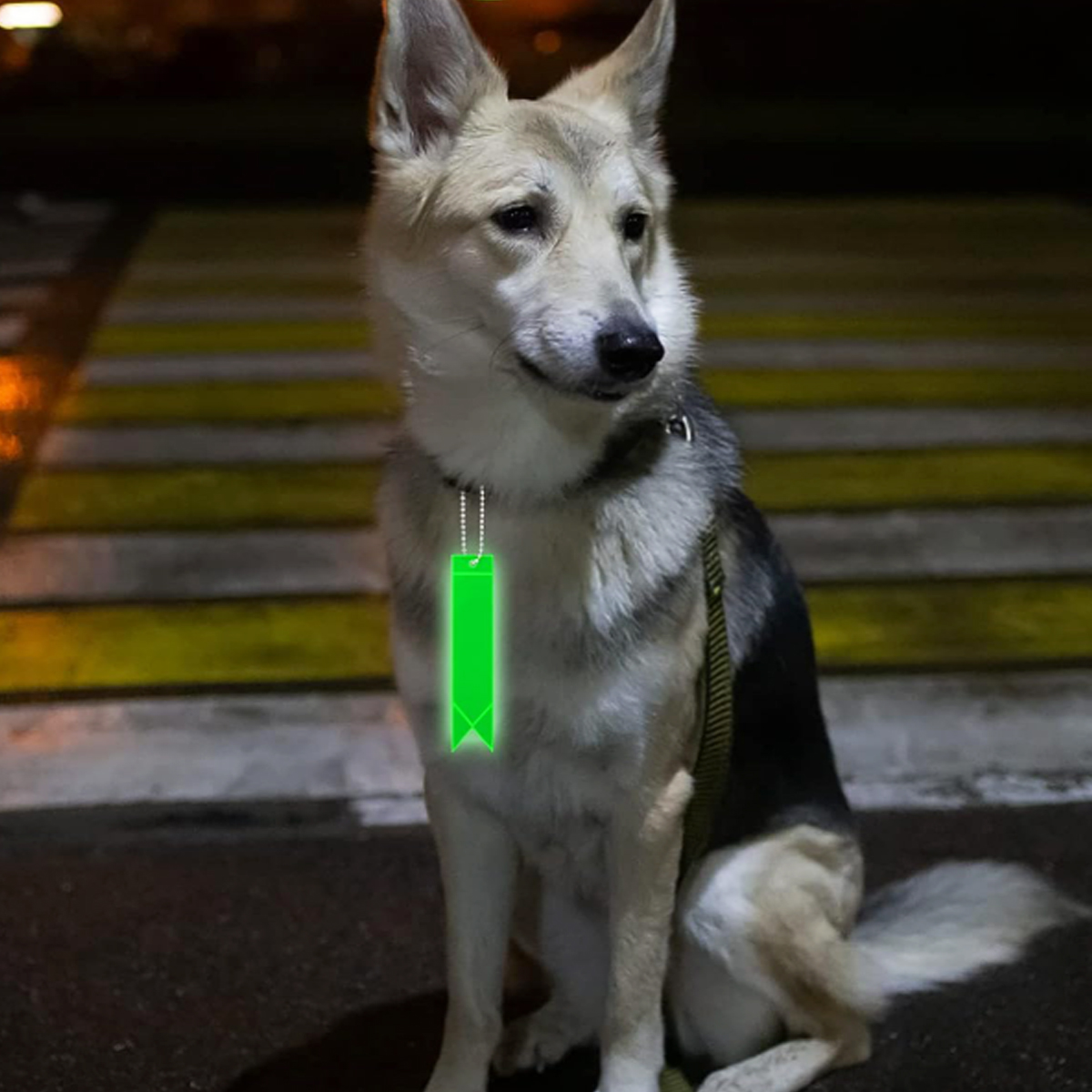 Reflective Safety Tag with Ball Chain for Visibility 6