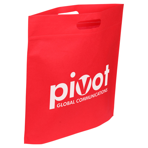 Echo Large Non-Woven Tote 13