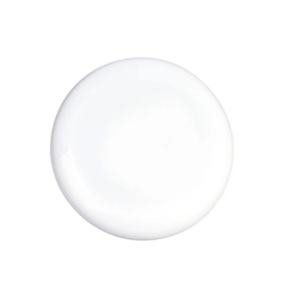 10.8" Plastic Flying Disc 4