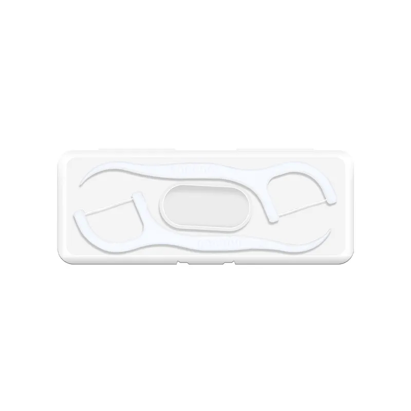 10 Pcs Dental Floss Kit 3