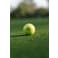 Srixon Q-STAR ULTISPEED Golf Balls - 12 Pack 107