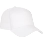Unisex Composite Ballcap 36