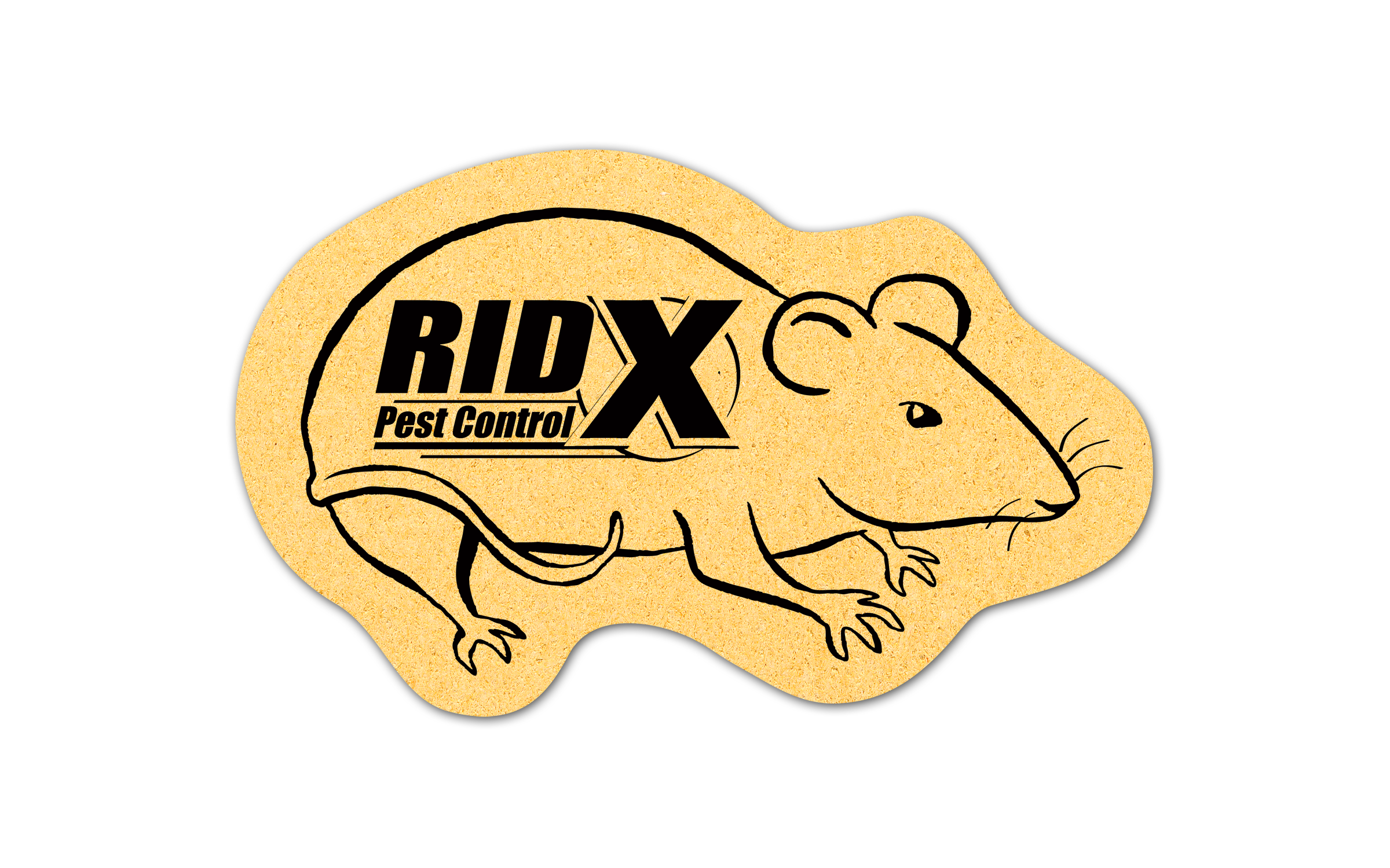 Rat/mouse Compressed Sponge 8