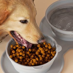Foldable Stretchable Dual Pet Bowl 14