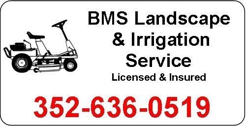 0.030" x 12" x 24" Vehicle Magnet with Vinyl lettering 1