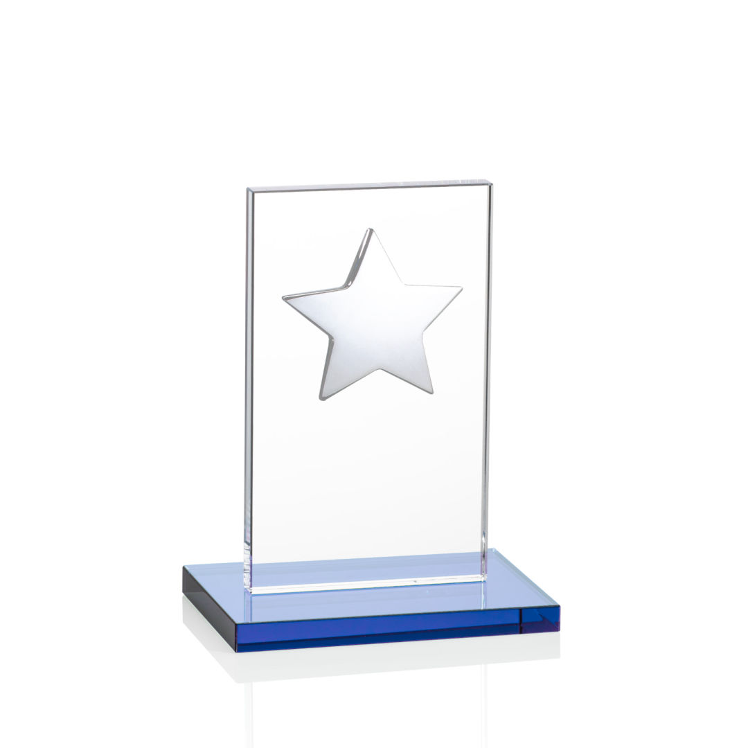 Dallas Star Award - Sky Blue/Silver 3