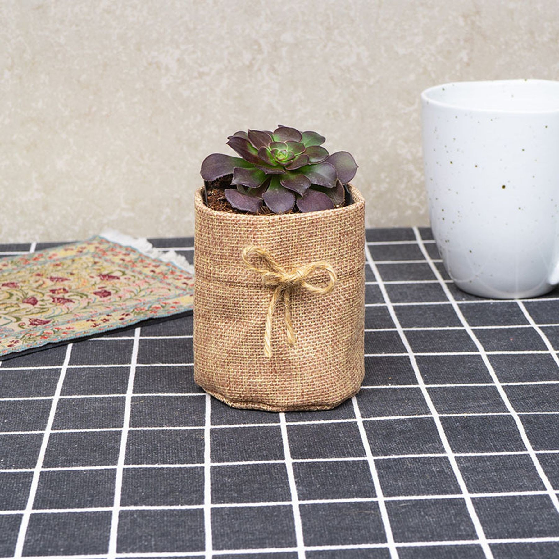 Seedling Plant Grow Bag Succulent Pot Burlap Nursery Pouches 5