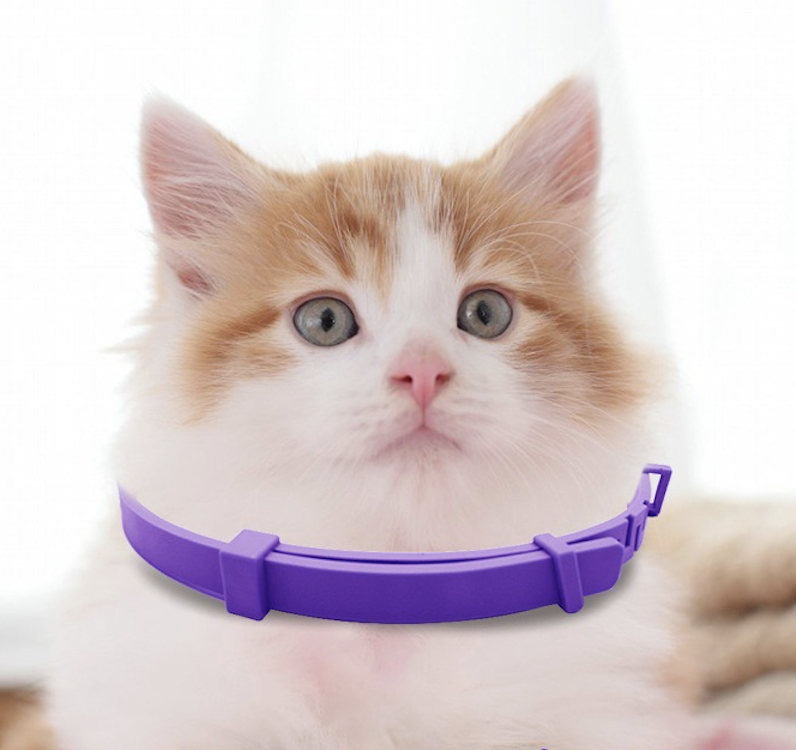 Calming Collar for Cat 6