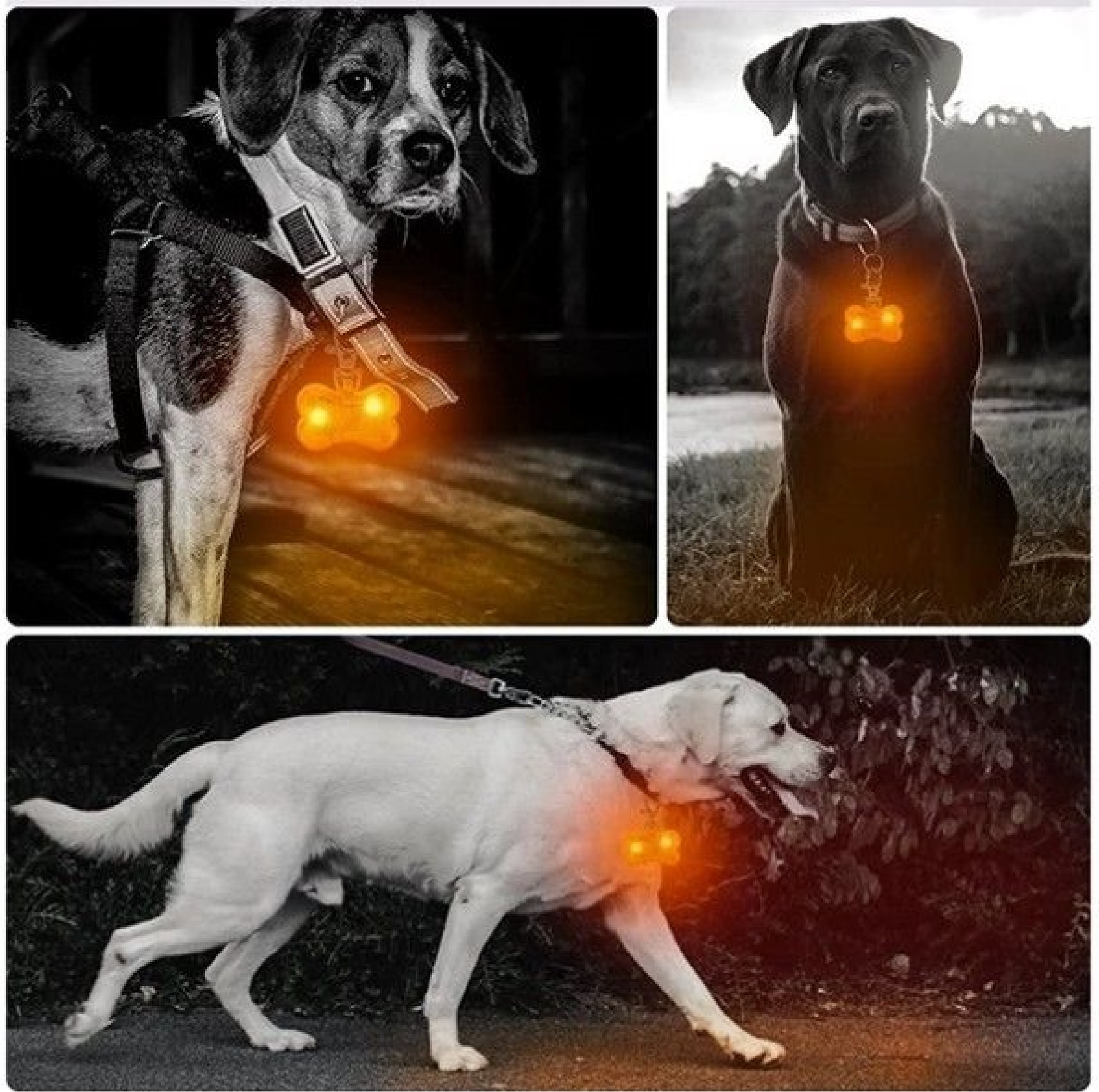 LED Bone-Shaped Pet Collar Pendent 4
