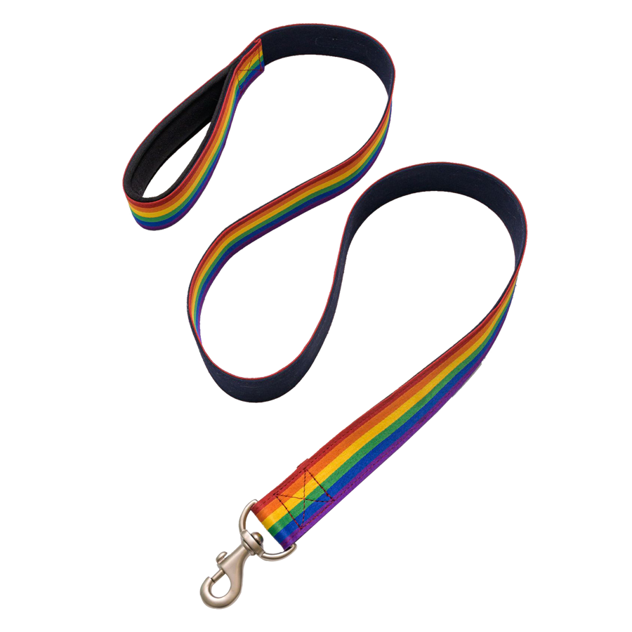 Rainbow Polyester Leash with Snap Carabiner and Loop Handle 2