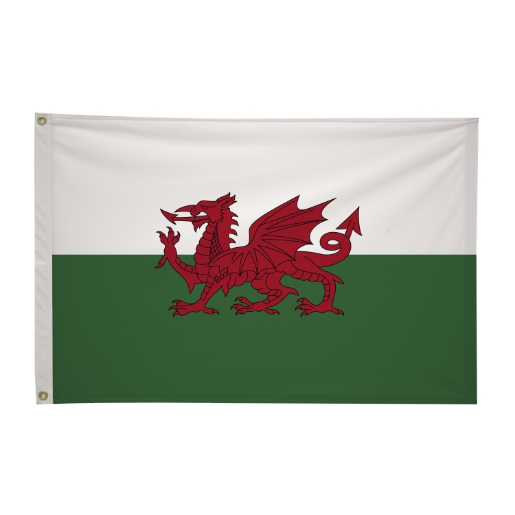 2' x 3'International Flag 44