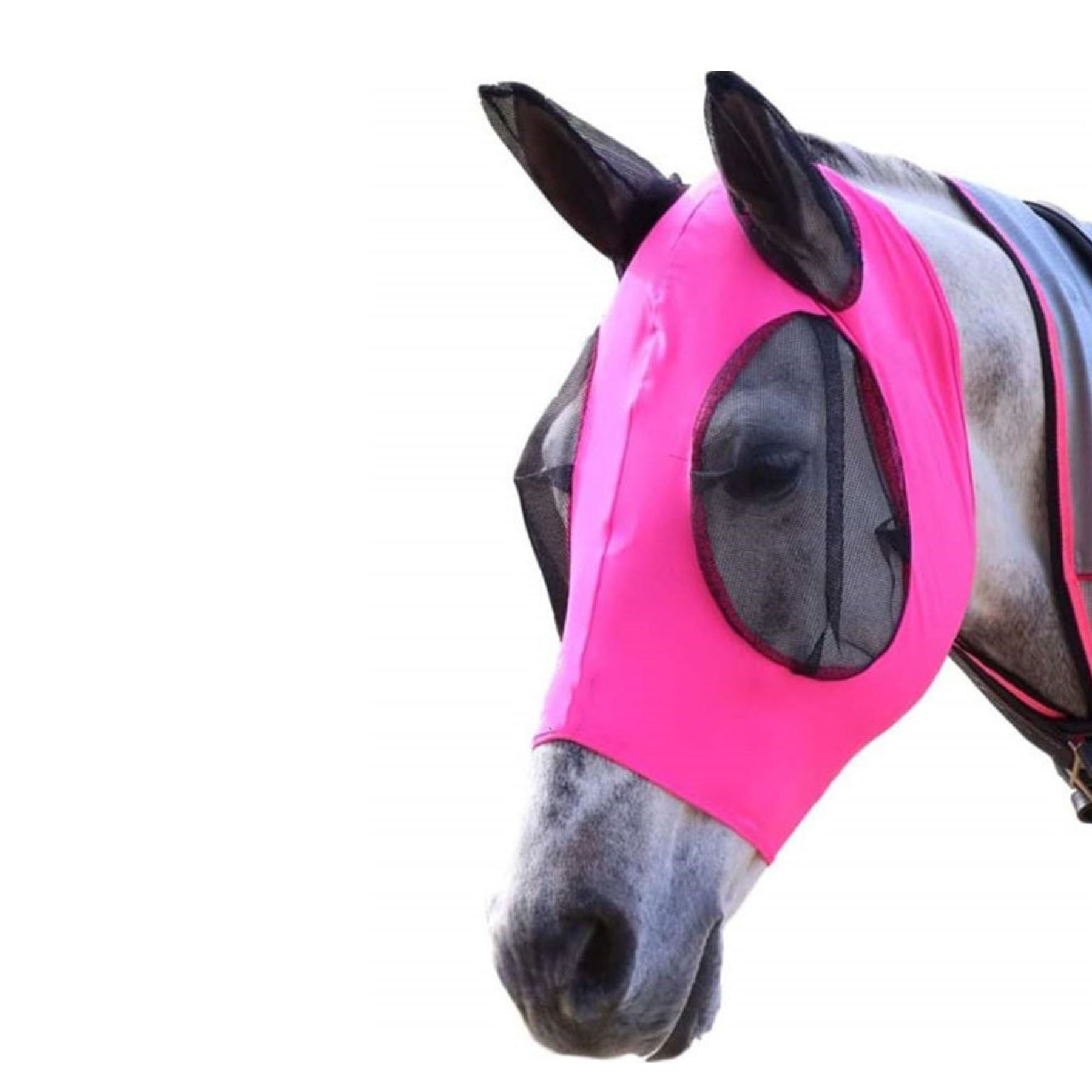 Horse Fly Mask 4
