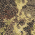 Russell Outdoors Camo Snapback Trucker Cap RU900 21