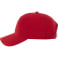 Unisex DOMINATE Ballcap 39
