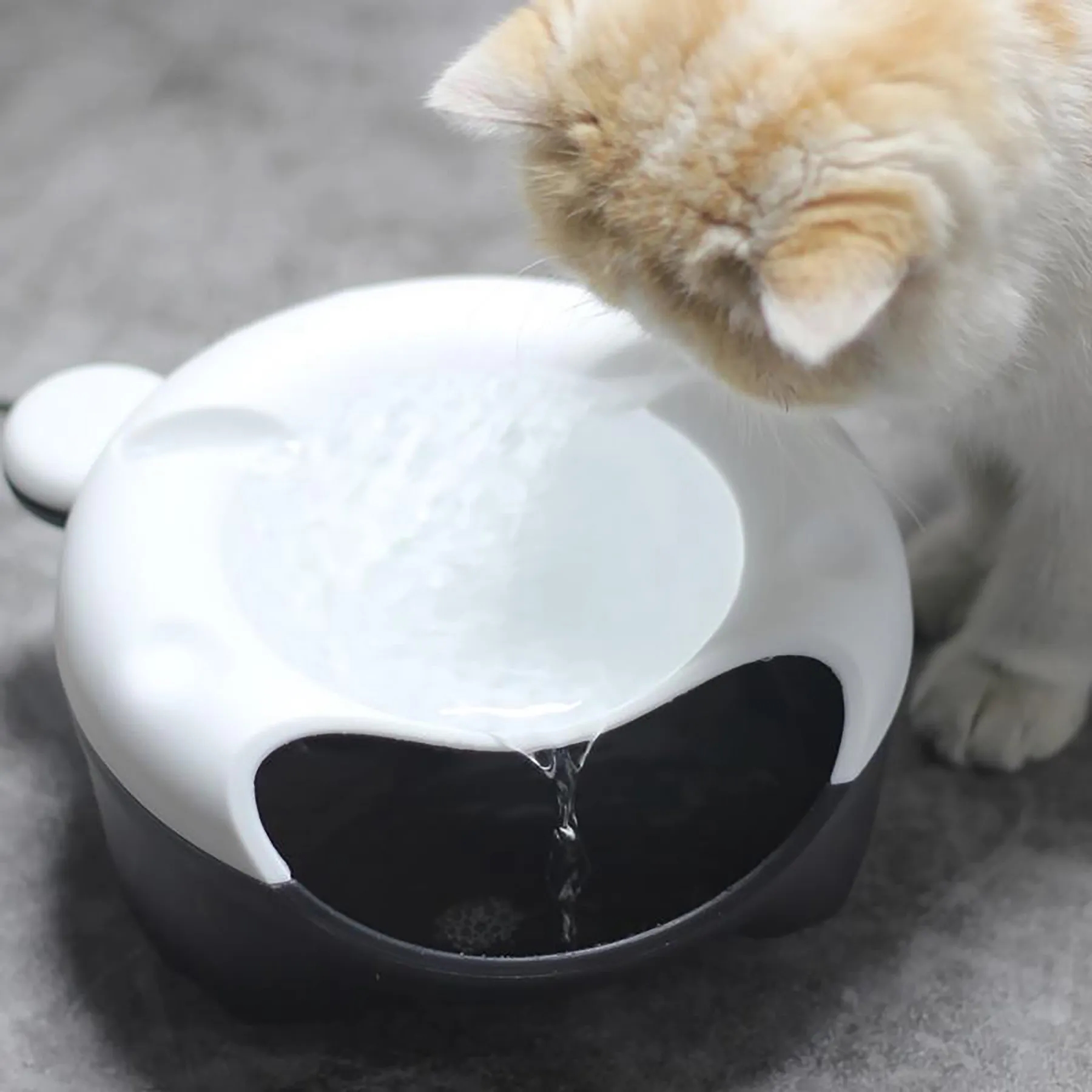 PP Pet Automatic Water Dispenser 10