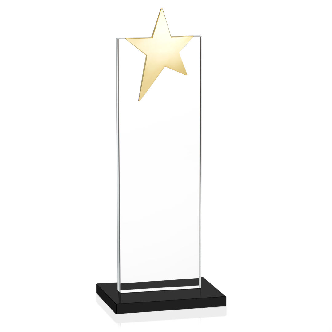 Bryanston Gold Star VividPrint™ Award - Black 11