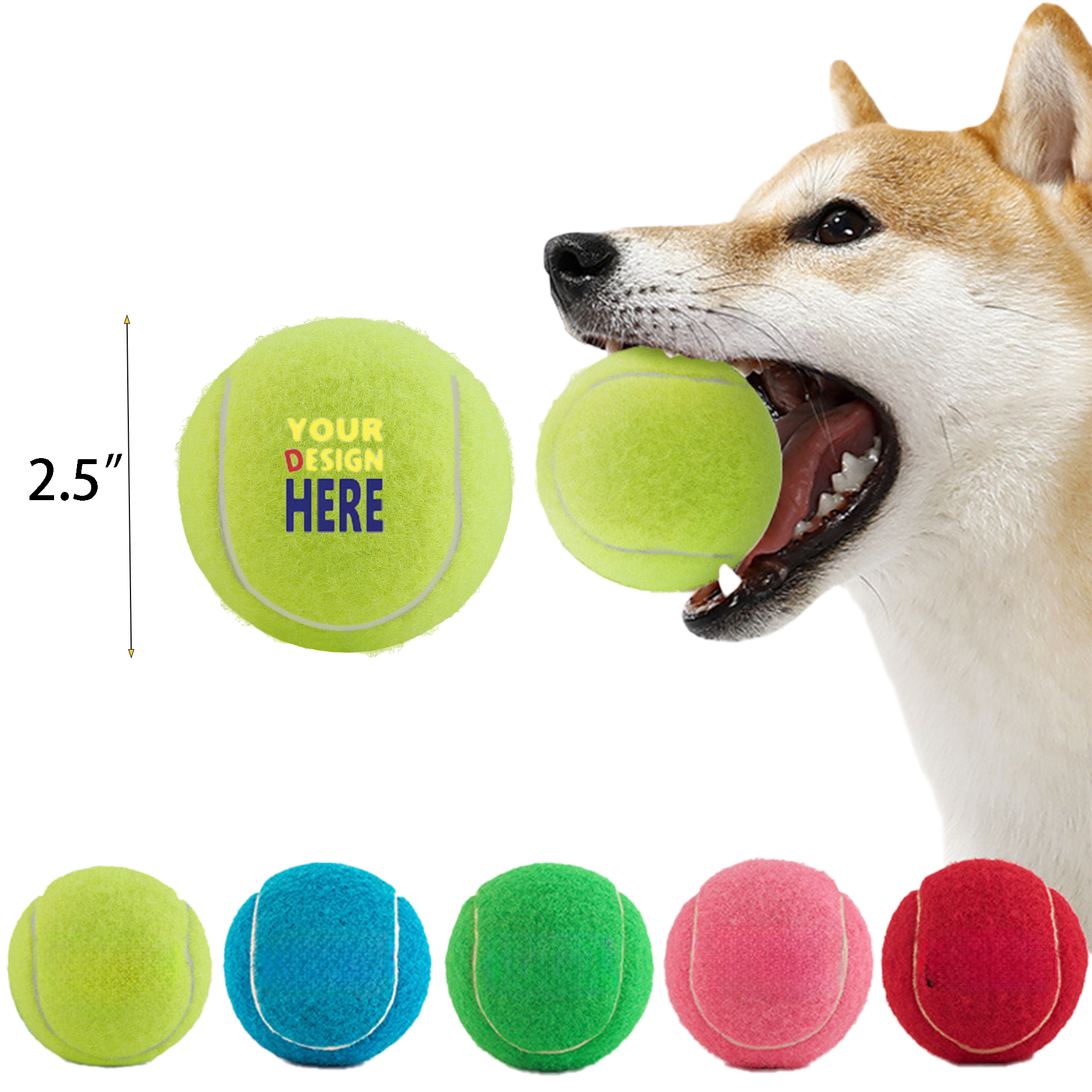 High Elastic Pet Training Tennis 1