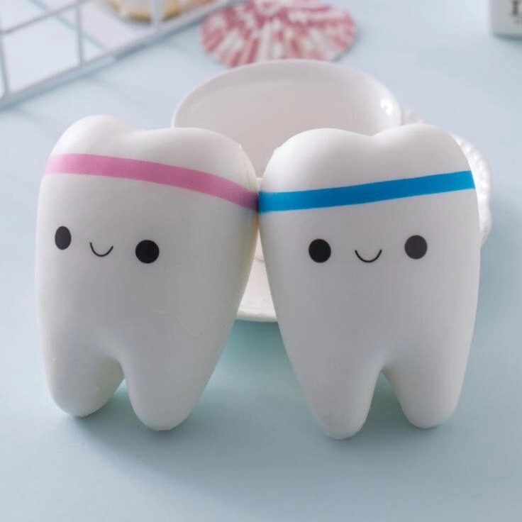 Tooth Model Decompression Toy 1