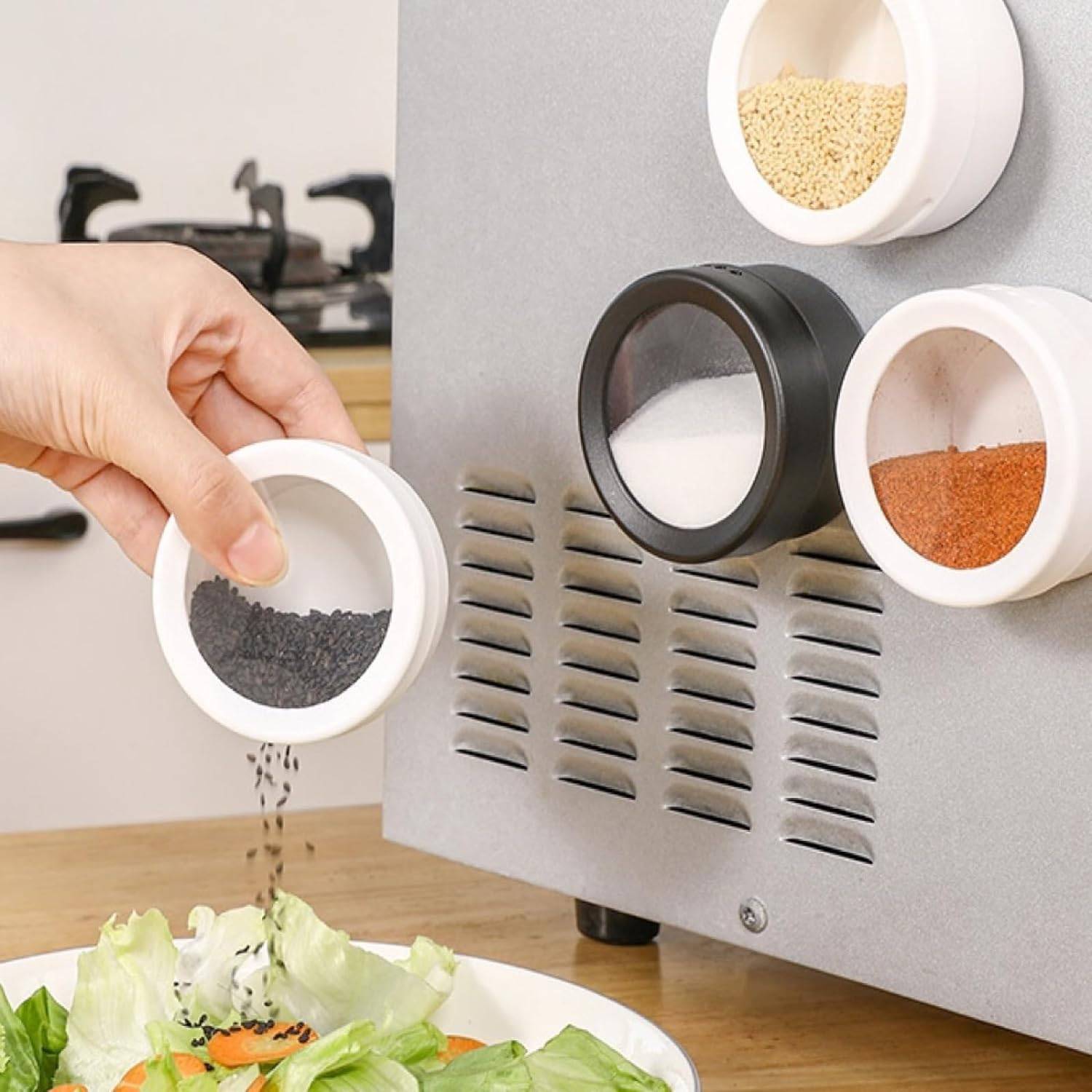 Japanese Magnetic Seasoning Box 6
