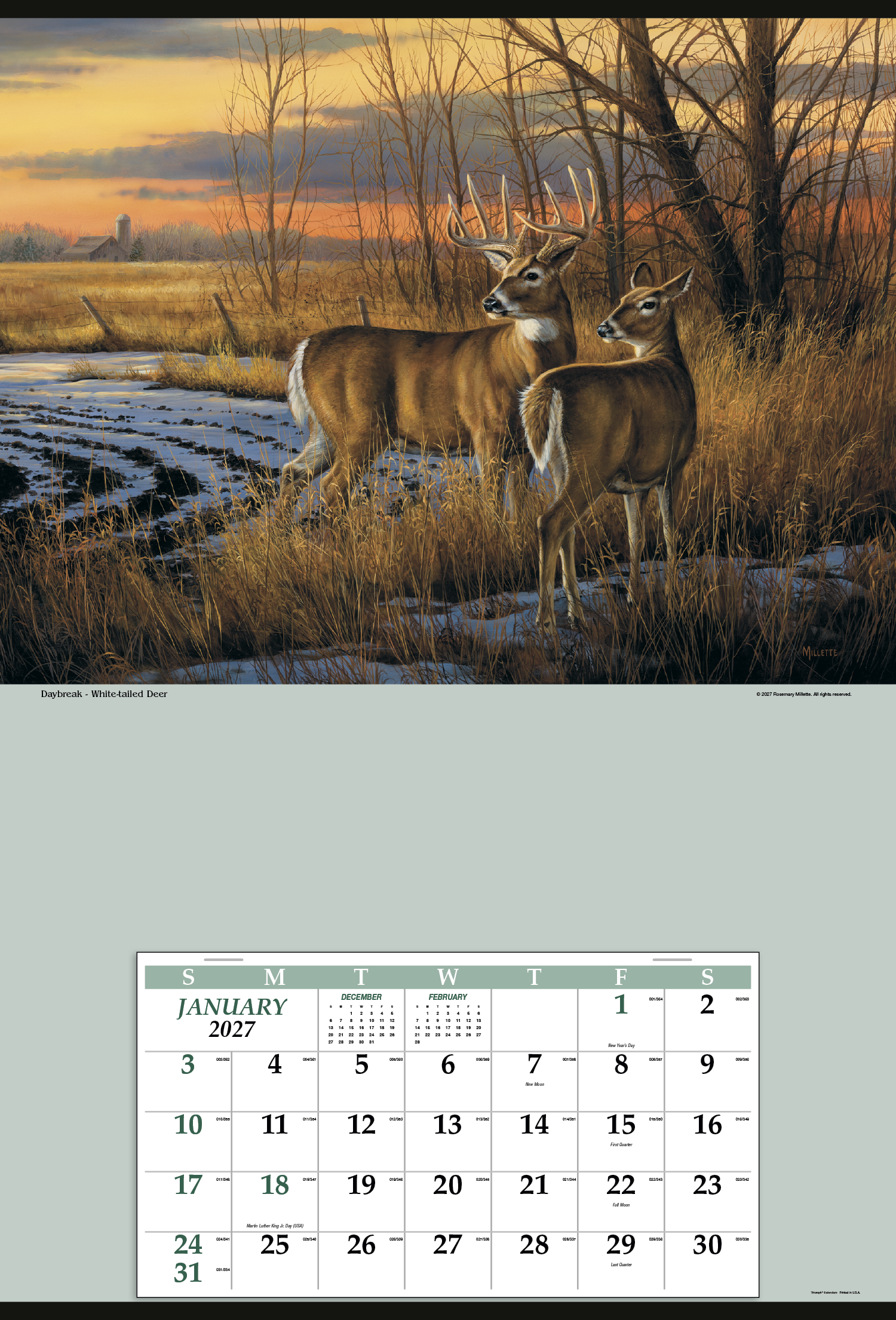 Triumph® Calendars Jumbo Hanger (12-Month) Calendar 42