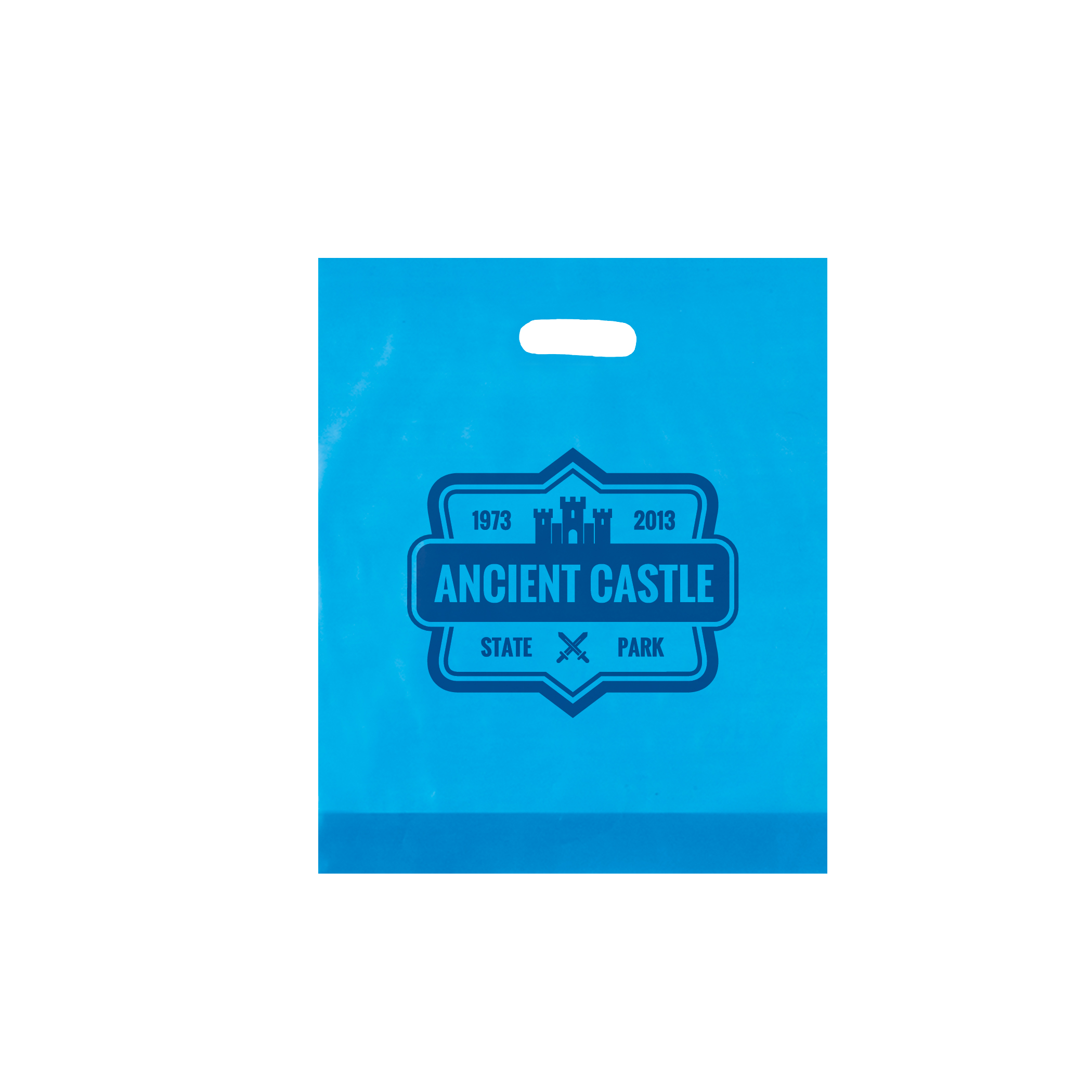 Non Reinforced HDPE Frosted Die Cut Bag 12