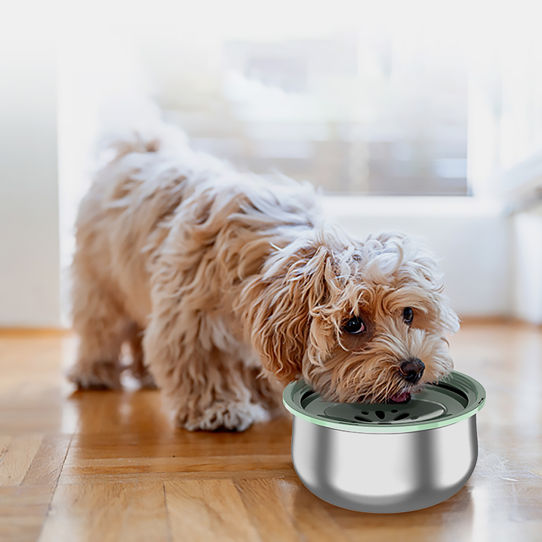 Stainless Steel Large Capacity Pet Water Bowl 8