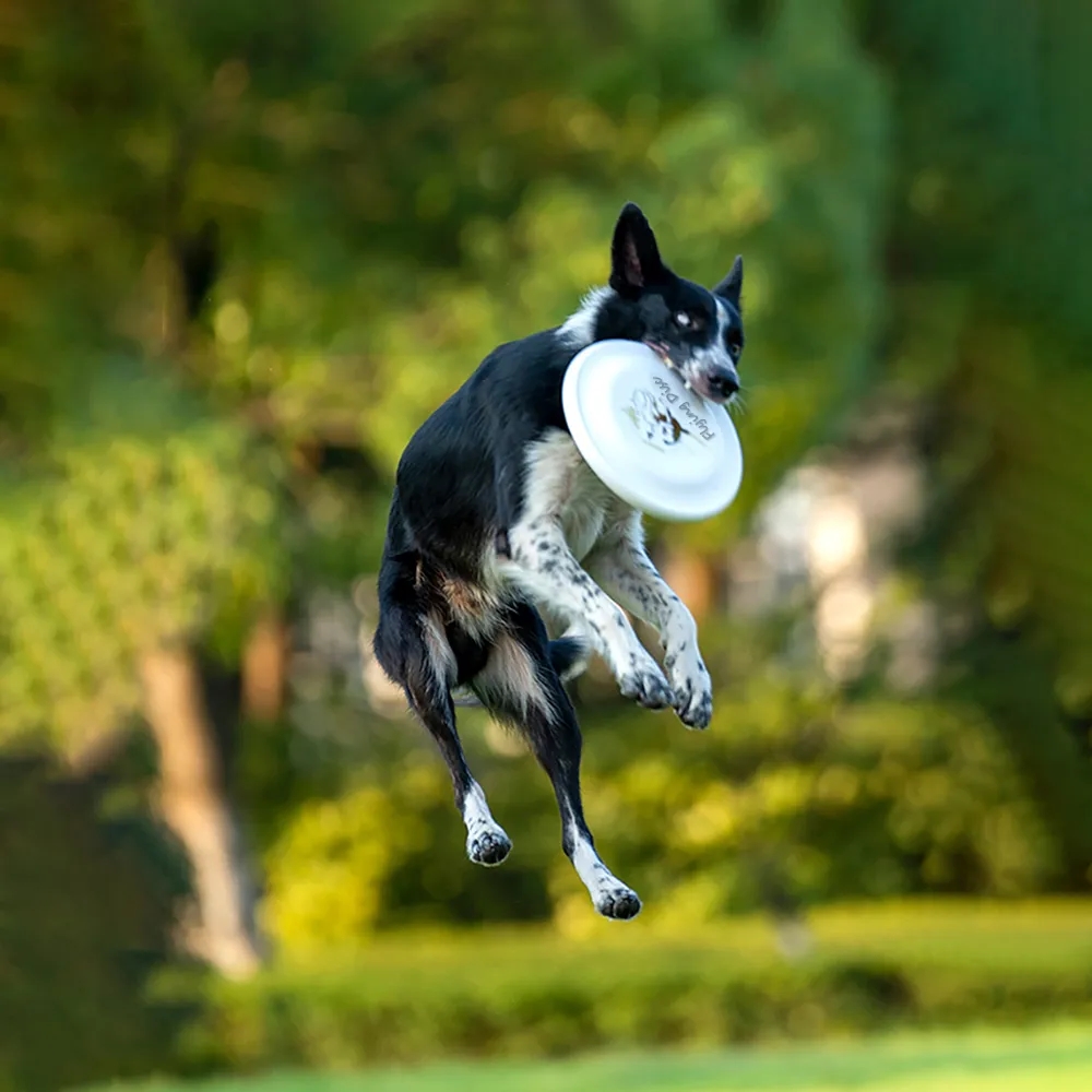 World's Toughest Canine Competition Dog Flying Disc Toy Pets 8